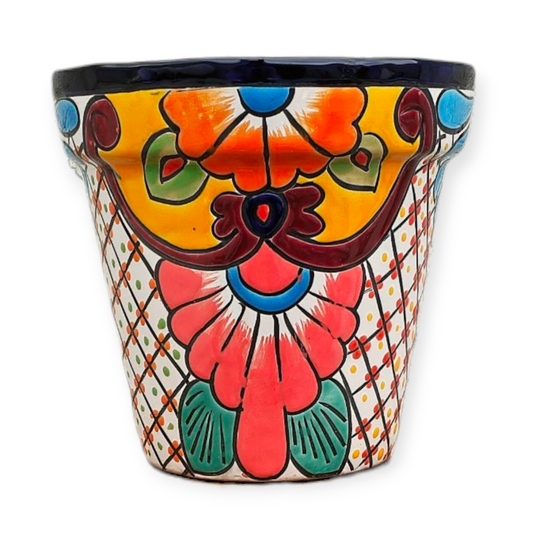 VASO 22#