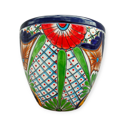 CONO MEDIANO